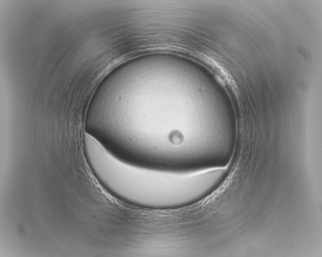 X0000116020993200912041746