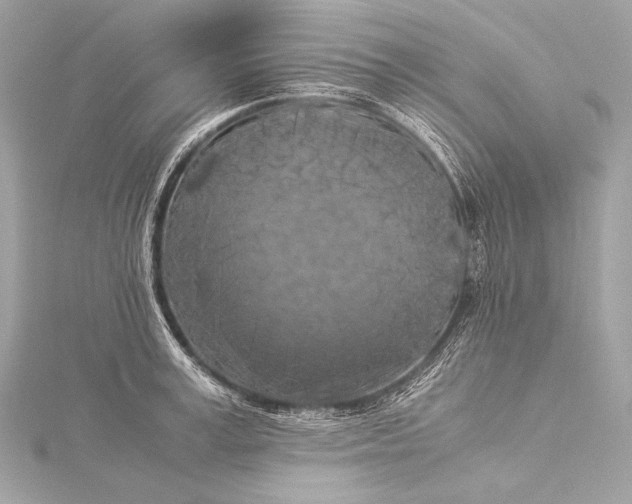 X0000116020995200912041746