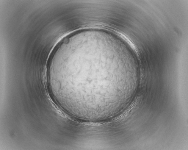 X0000116020996200912041746