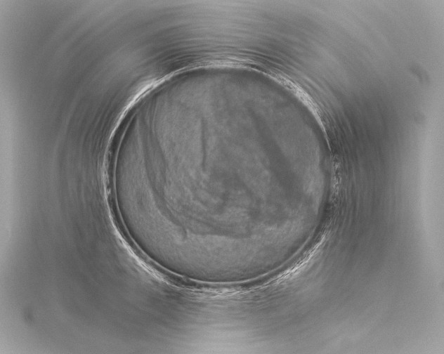 X0000116020997200912041746