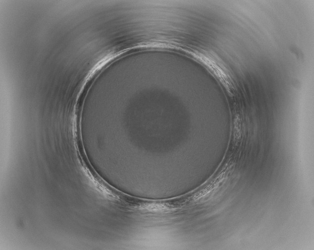 X0000116020998200912041746