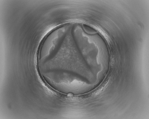 X0000116020999200912041746