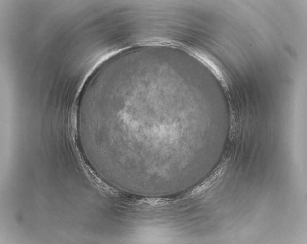 X0000116021000200912041746