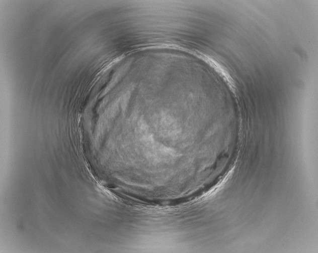 X0000116021001200912041746