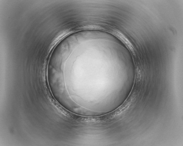 X0000116021002200912041746