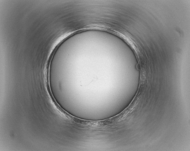 X0000116021003200912041746