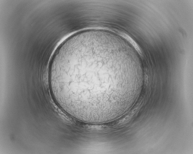 X0000116021004200912041746