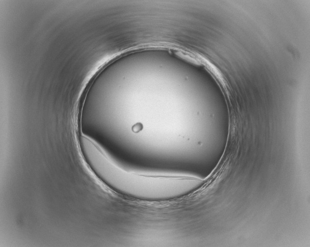 X0000116021005200912041746