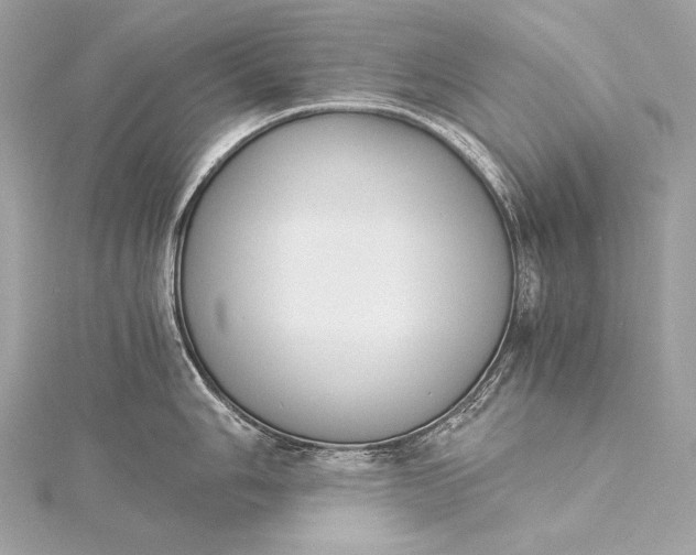 X0000116021006200912041746