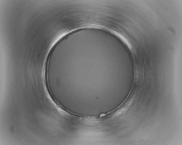 X0000116021007200912041746