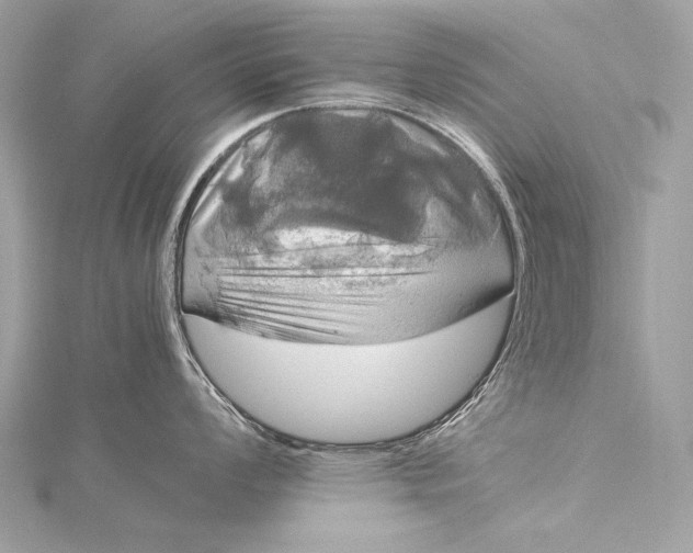 X0000116021008200912041746