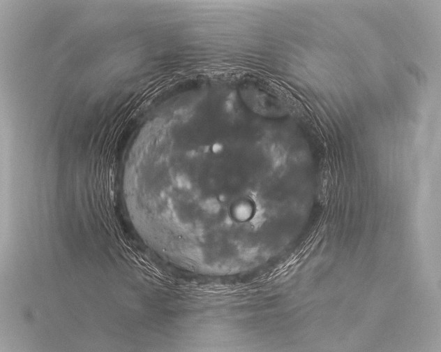 X0000116021010200912041745