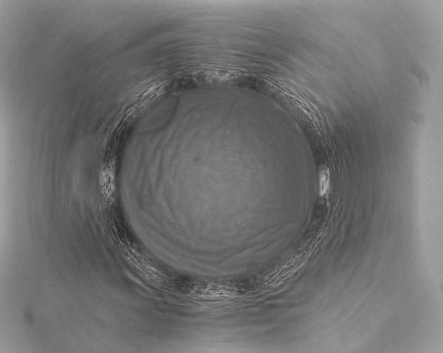 X0000116021011200912041745