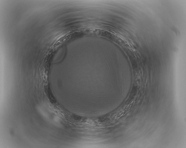 X0000116021013200912041745