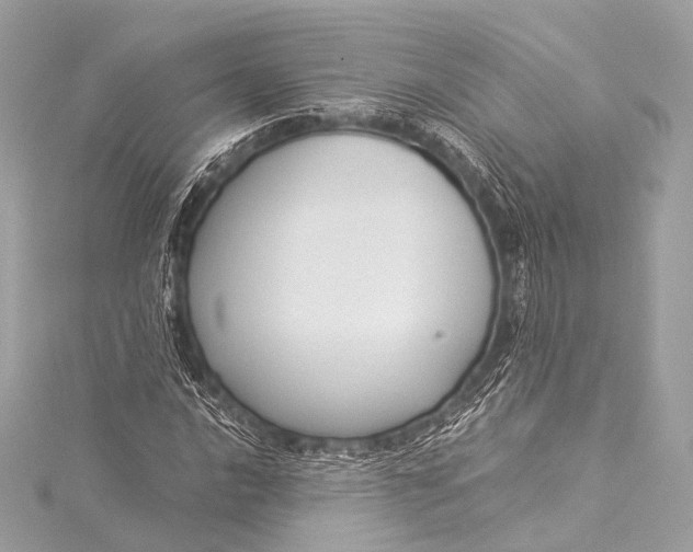 X0000116021016200912041746