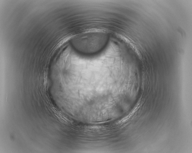 X0000116021017200912041746