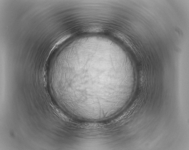 X0000116021018200912041746