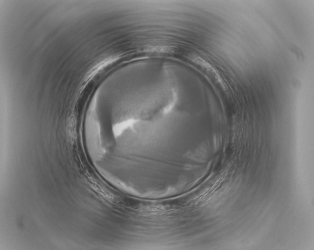 X0000116021019200912041746