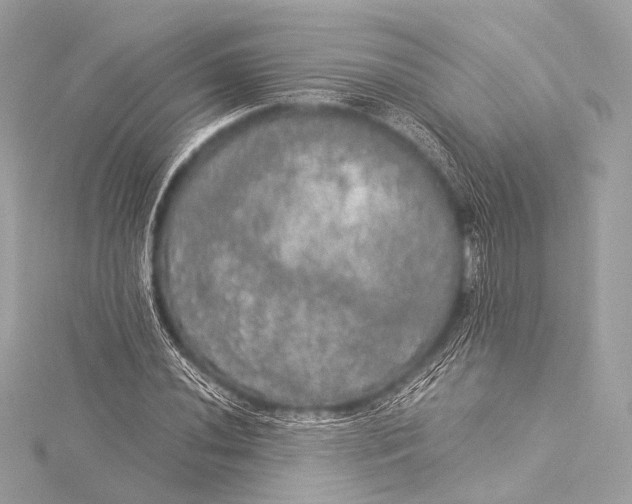 X0000116021020200912041746