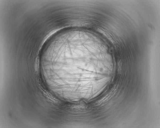 X0000116021021200912041746