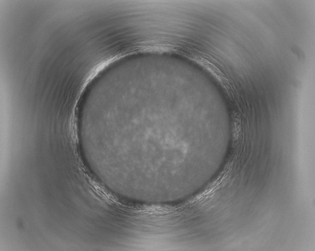 X0000116021022200912041746