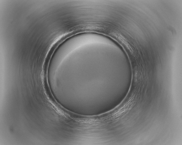 X0000116021024200912041746