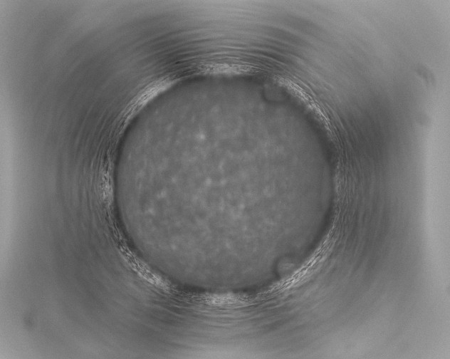 X0000116021025200912041746