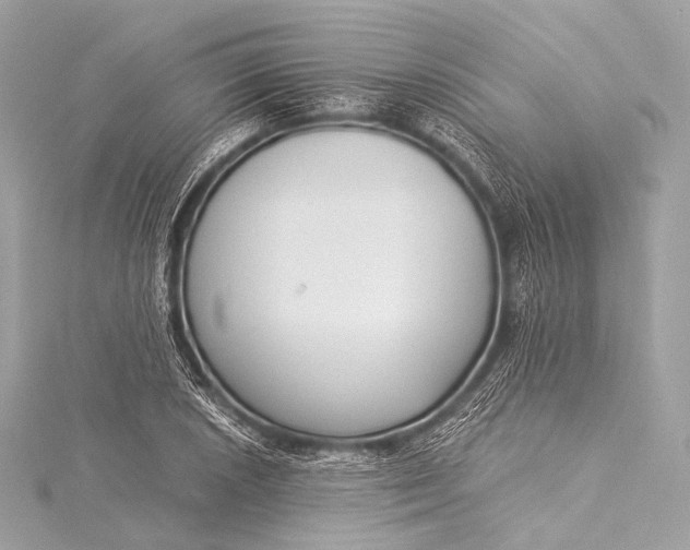 X0000116021026200912041746