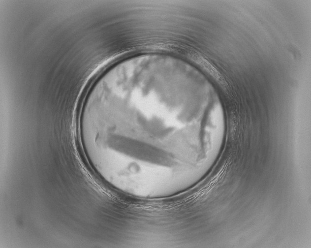 X0000116021028200912041746