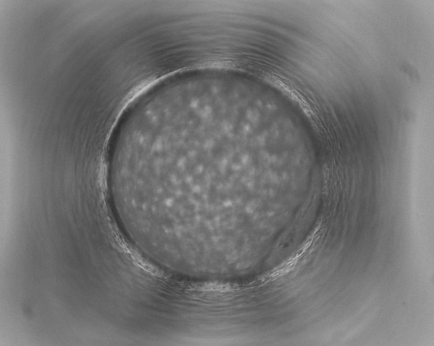 X0000116021029200912041746