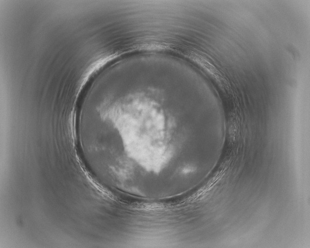 X0000116021030200912041746