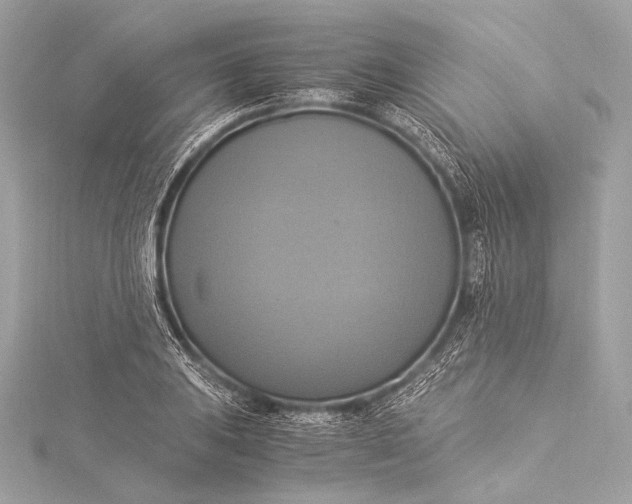 X0000116021031200912041746