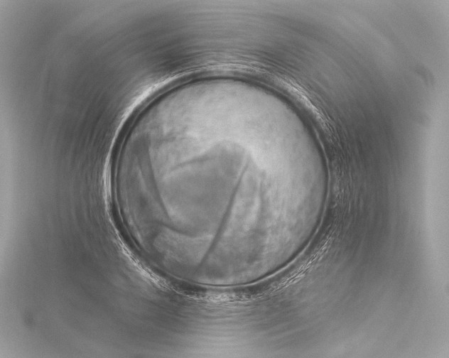 X0000116021032200912041746