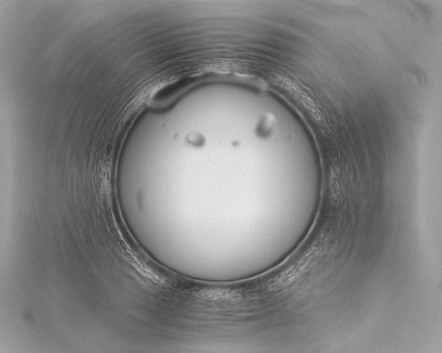 X0000116021033200912041746