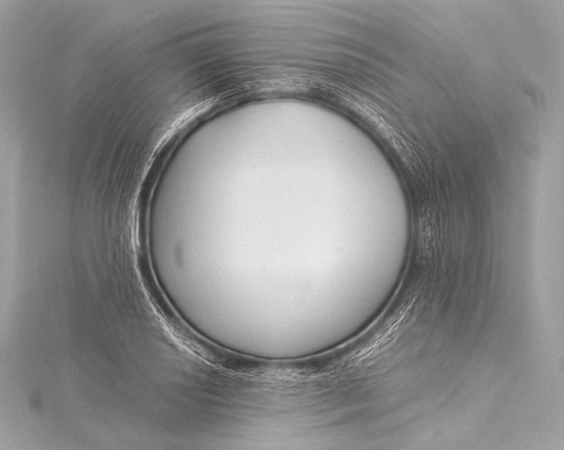 X0000116021034200912041746