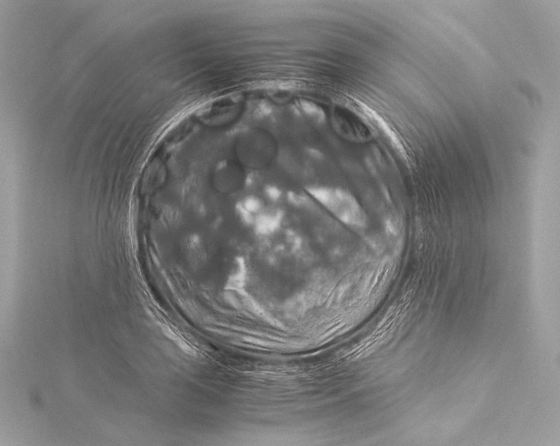 X0000116021035200912041746