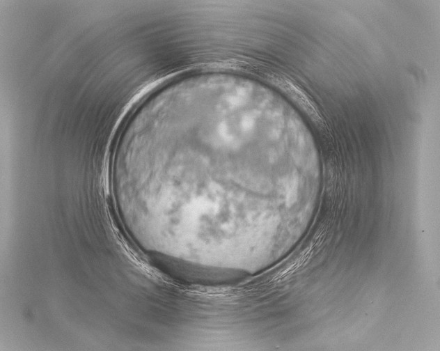 X0000116021036200912041746