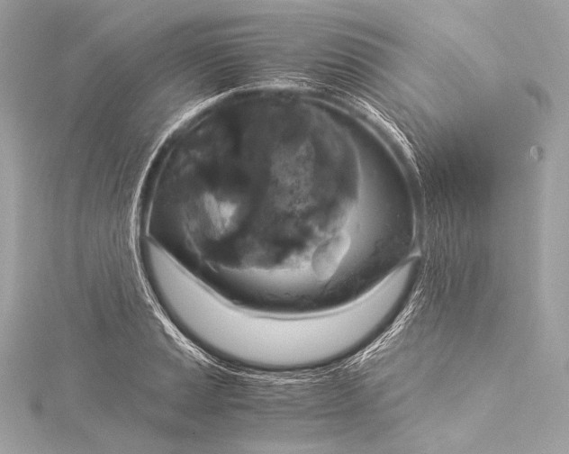 X0000116021037200912041746