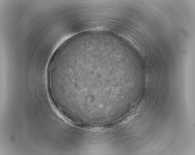 X0000116021038200912041746