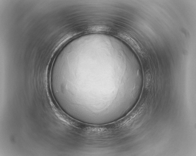 X0000116021039200912041746