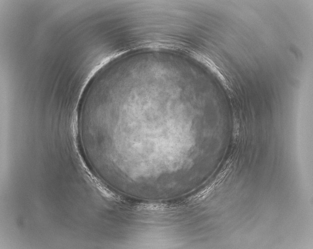 X0000116021040200912041746