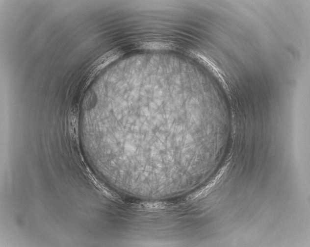 X0000116021041200912041746