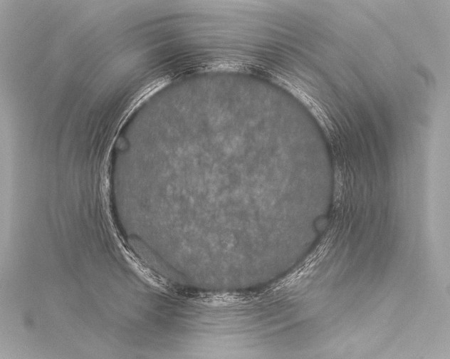 X0000116021042200912041746