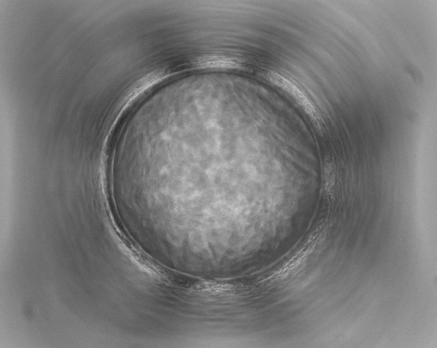 X0000116021043200912041746