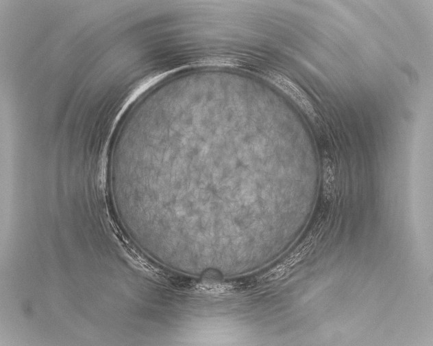 X0000116021044200912041746