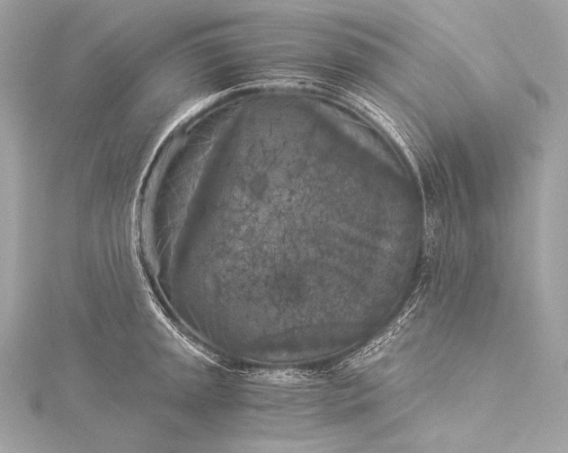 X0000116021045200912041746