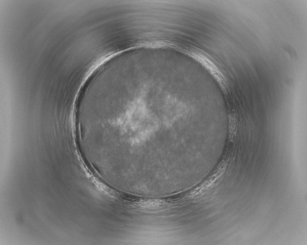 X0000116021046200912041746