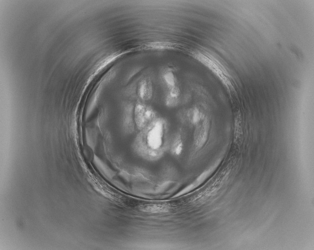 X0000116021047200912041746