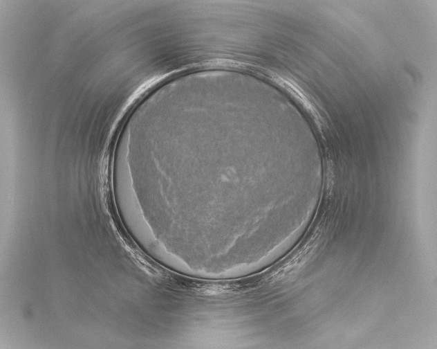 X0000116021048200912041746