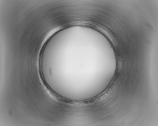 X0000116021050200912041746